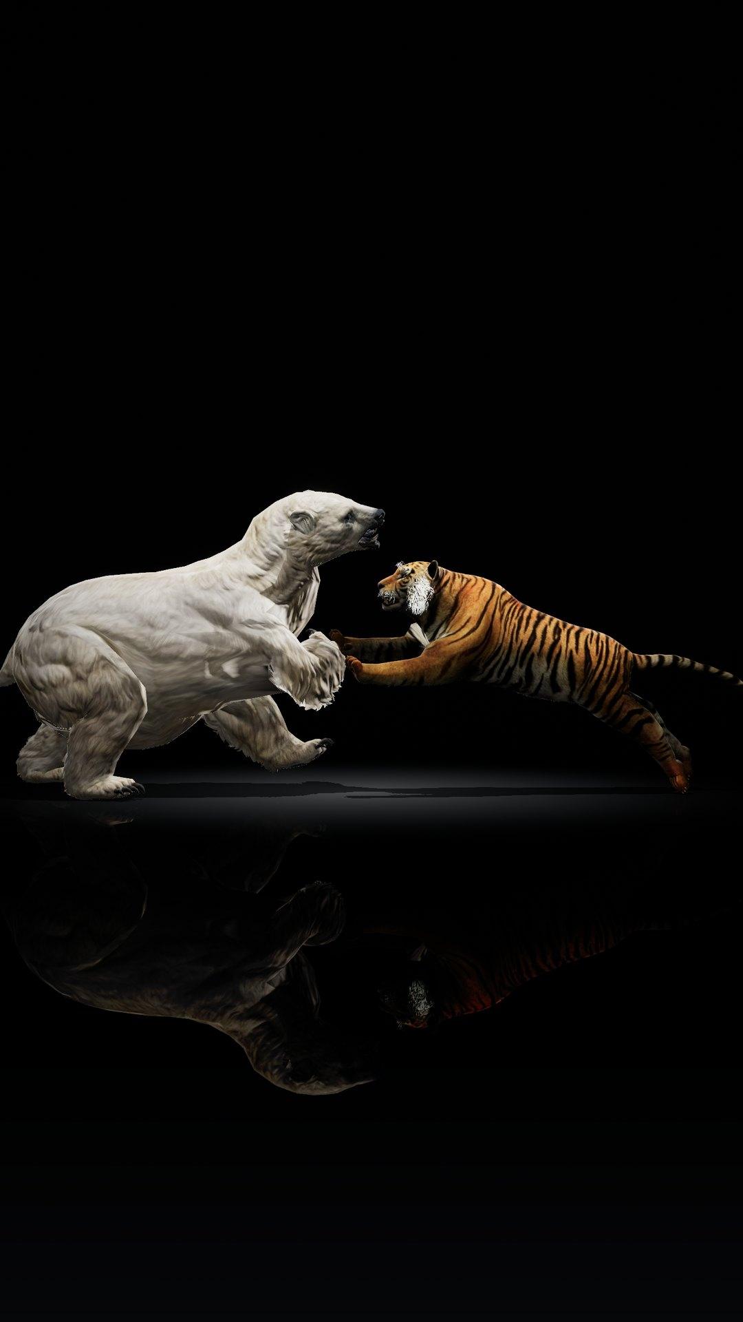 A polar bear and a tiger clash in battle